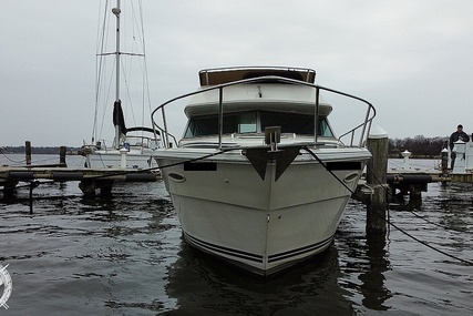 Sea Ray 300 Sedan Bridge