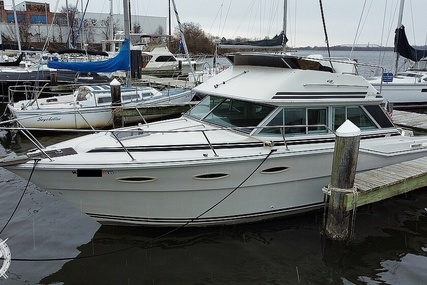 Sea Ray 300 Sedan Bridge