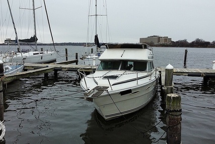 Sea Ray 300 Sedan Bridge