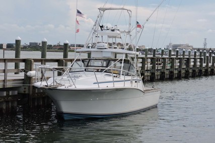 Atlantic 34 Express/Sportfish