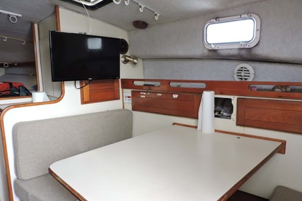 Atlantic 34 Express/Sportfish