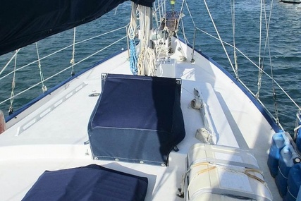 Hardin Sea Wolf 40