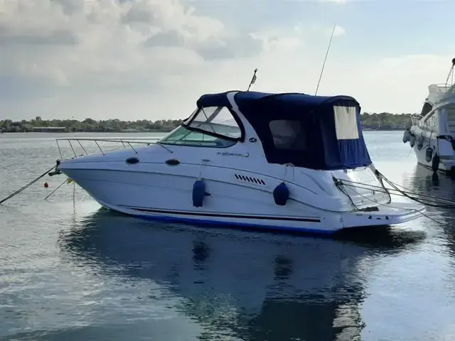 Sea Ray Sundancer 315