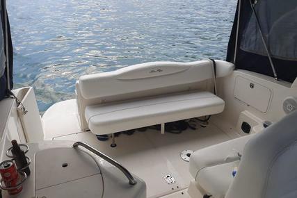 Sea Ray Sundancer 315