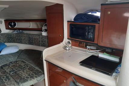 Sea Ray Sundancer 315