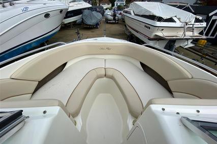 Sea Ray 210 Bow Rider