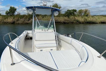 Bayliner 2503 Trophy Center Console