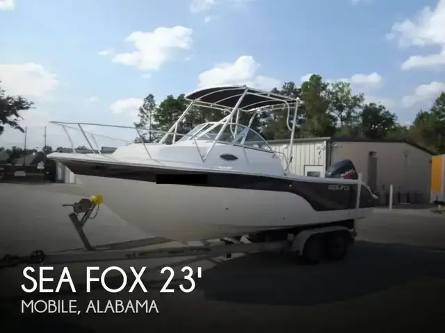 Sea Fox 236 Walk Around