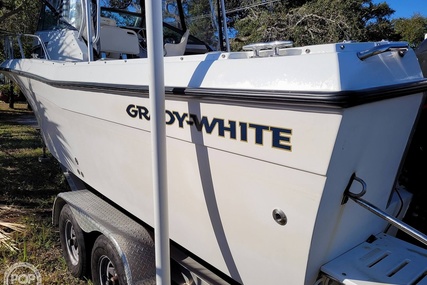 Grady White 25 dolphin