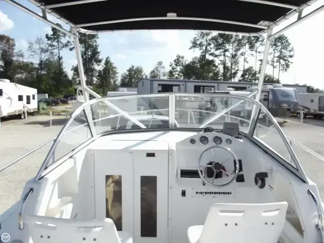 Sea Fox 236 Walk Around