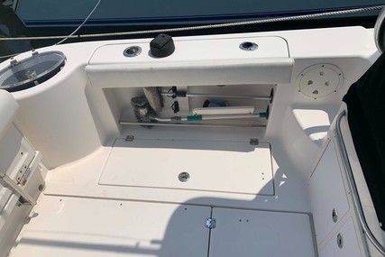 Robalo 305 Open