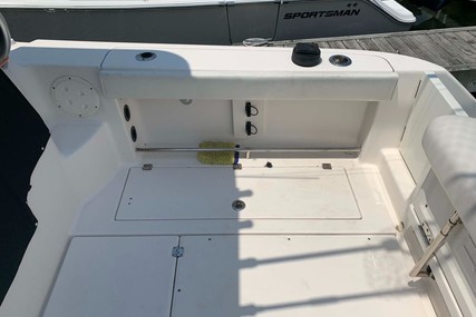 Robalo 305 Open