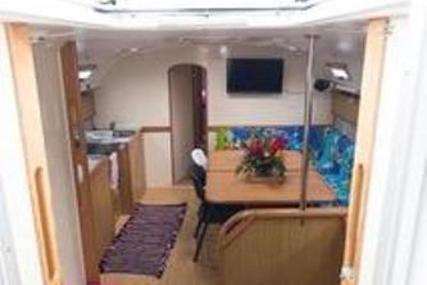 Catana Poncin Harmony 52