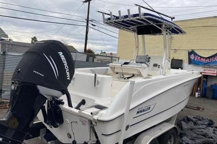 Boston Whaler 220 Outrage