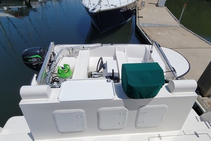 Endeavour Catamaran Trawler Cat