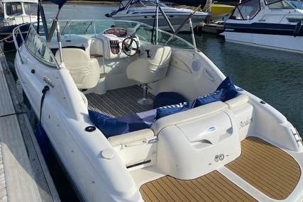 Sessa Marine Islamorada 23