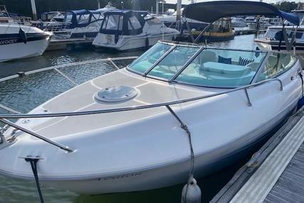 Sessa Marine Islamorada 23