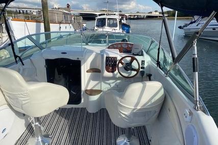 Sessa Marine Islamorada 23