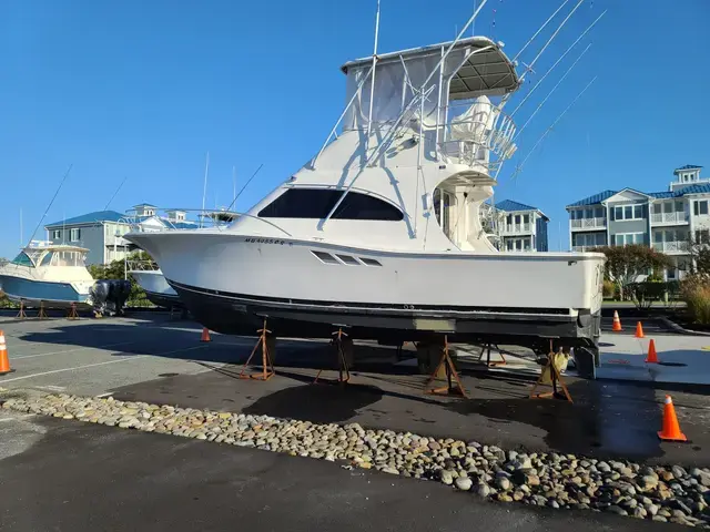 Luhrs 360