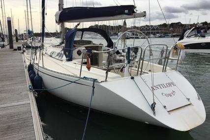 Contessa 33