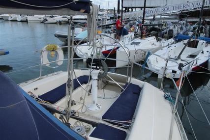 Contessa 33