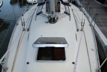 Contessa 33