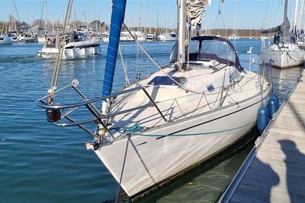 Contessa 33