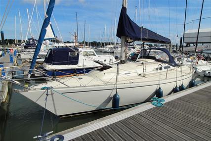 Contessa 33