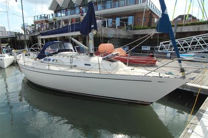 Contessa 33