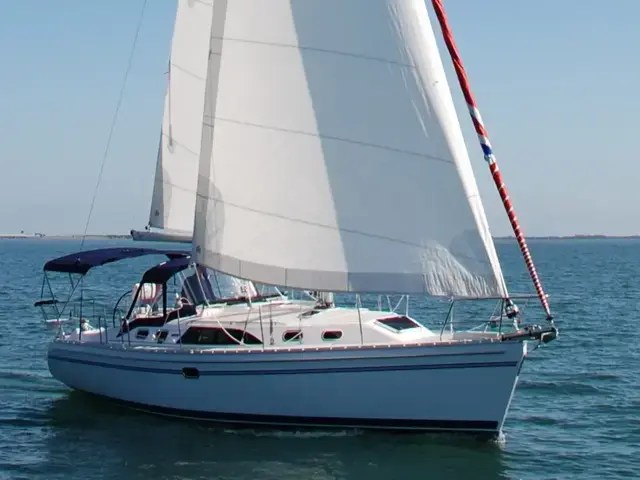 Catalina 385