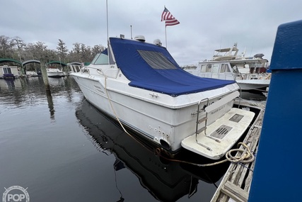 Sea Ray 460 Express Cruiser