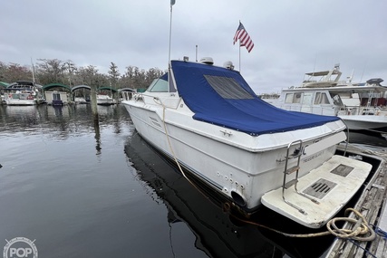 Sea Ray 460 Express Cruiser