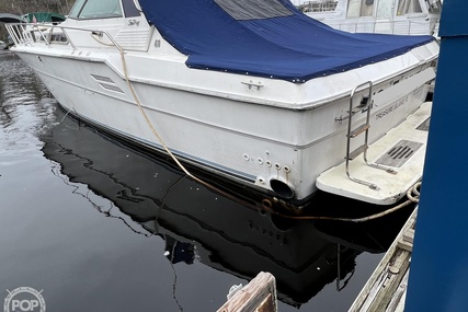 Sea Ray 460 Express Cruiser