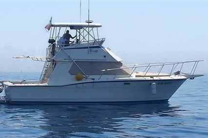 Hatteras 36 CONV.