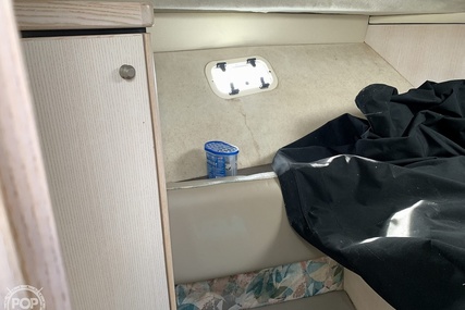 Bayliner Avanti 3258