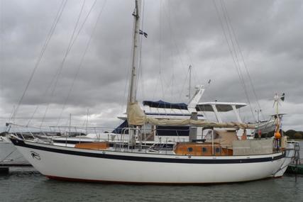 SALTRAM Saga 40