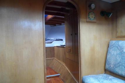 SALTRAM Saga 40