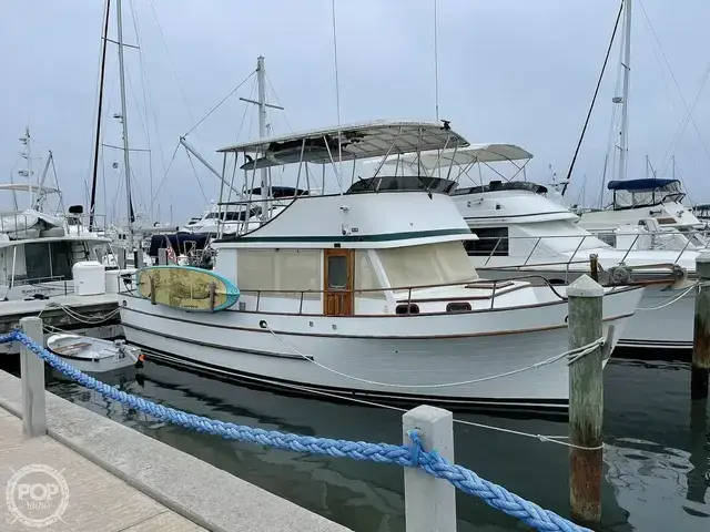 Trader 40 Double Cabin