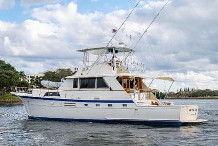 Hatteras Yachtfish