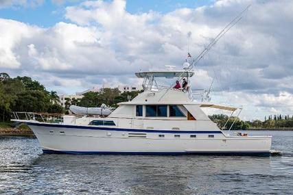 Hatteras Yachtfish