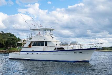 Hatteras Yachtfish