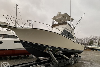 Albemarle 325 Convertible