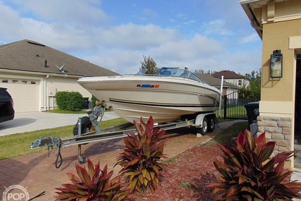 Sea Ray 230 bowrider