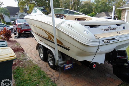 Sea Ray 230 bowrider