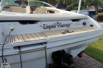 Sea Ray 230 bowrider