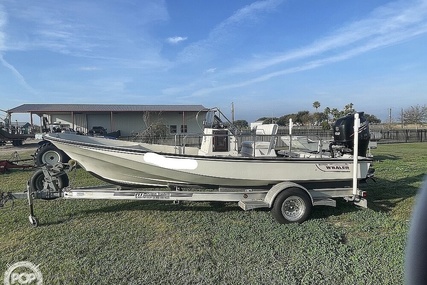 Boston Whaler 19 Low Profile