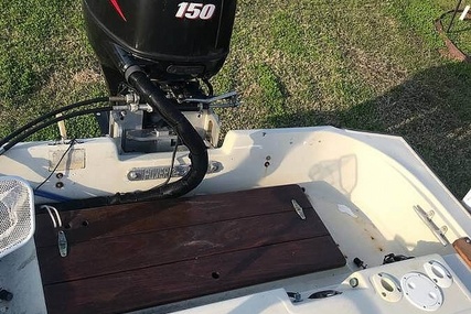 Boston Whaler 19 Low Profile