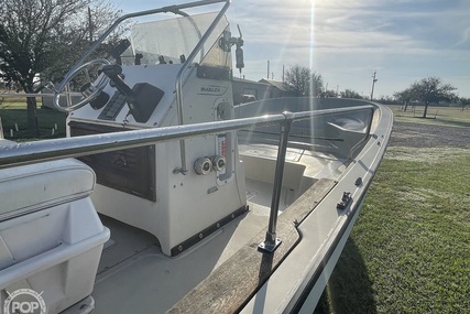 Boston Whaler 19 Low Profile