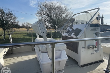 Boston Whaler 19 Low Profile