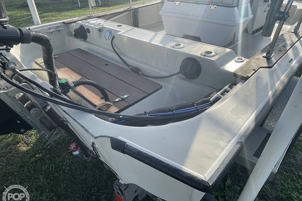 Boston Whaler 19 Low Profile